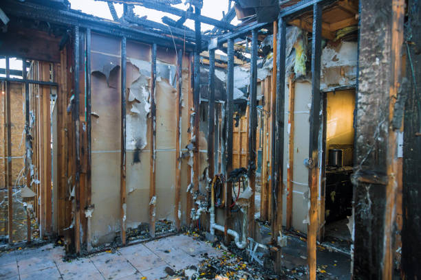 Professional Fire Damage Assessment technician working in Clearwater, FL