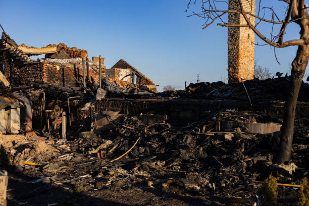 Reliable Fire Damage Assessment contractor in Clearwater, FL by Fire Damage Doption