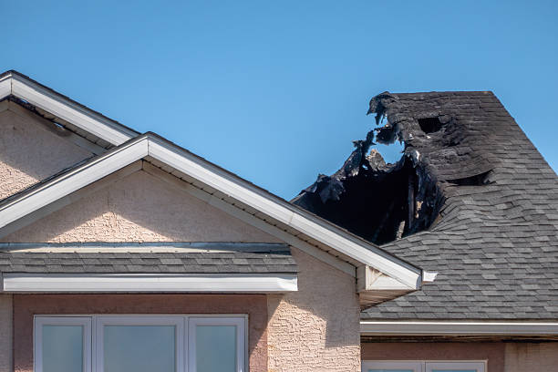 Top rated local Fire Damage Assessment specialists in Clearwater, FL
